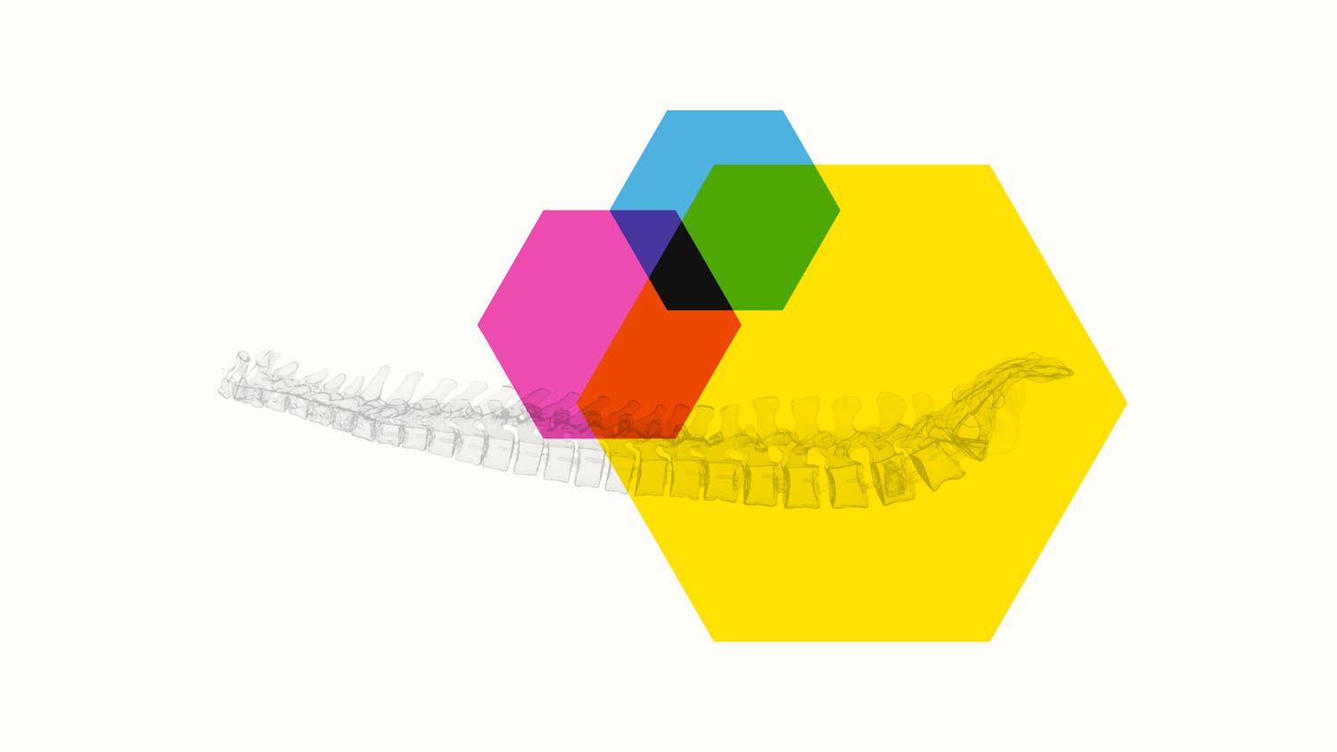 proprio visual identity medical imaging technology
